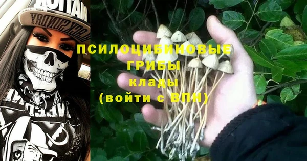 трава Алексеевка